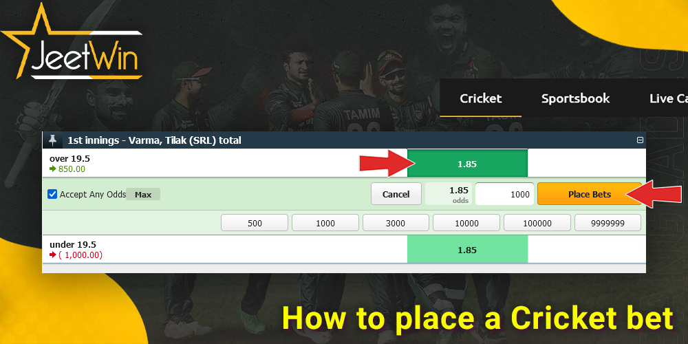 step-by-step instructions on how to place a bet on Cricket at JeetWin